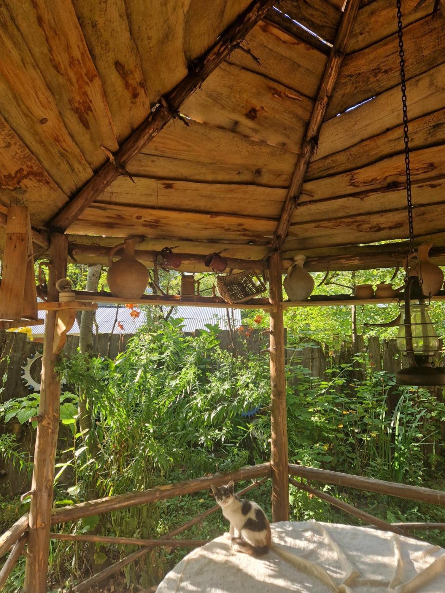 Lentekhi Guest House "Svaneti" מראה חיצוני תמונה