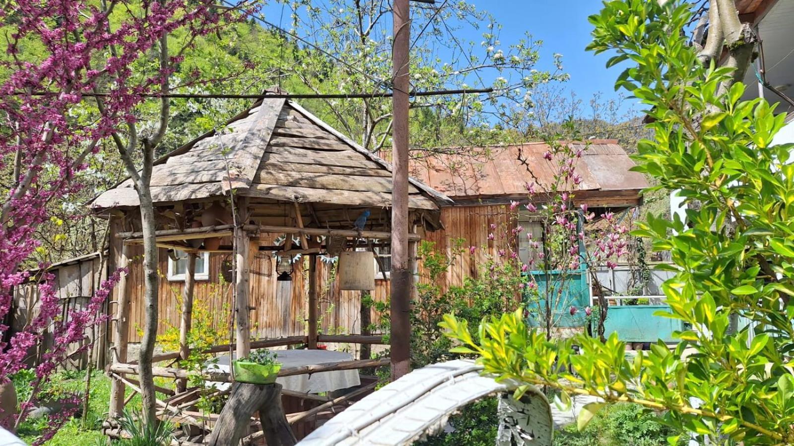 Lentekhi Guest House "Svaneti" מראה חיצוני תמונה