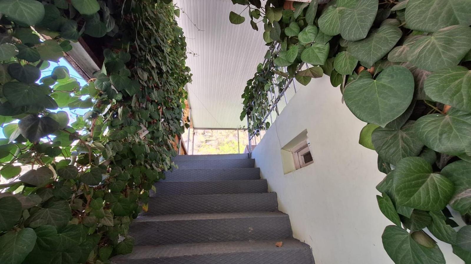 Lentekhi Guest House "Svaneti" מראה חיצוני תמונה