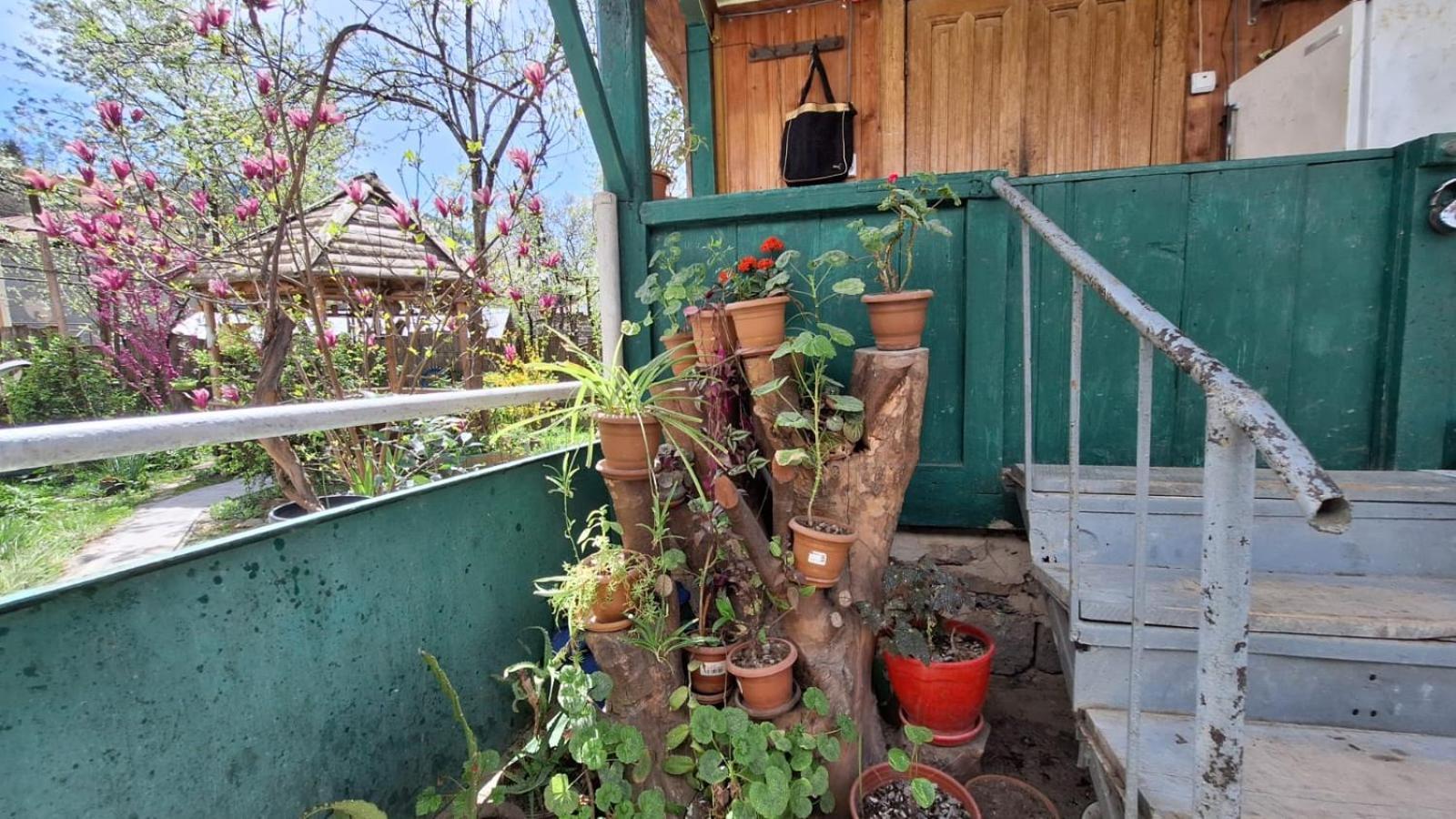 Lentekhi Guest House "Svaneti" מראה חיצוני תמונה