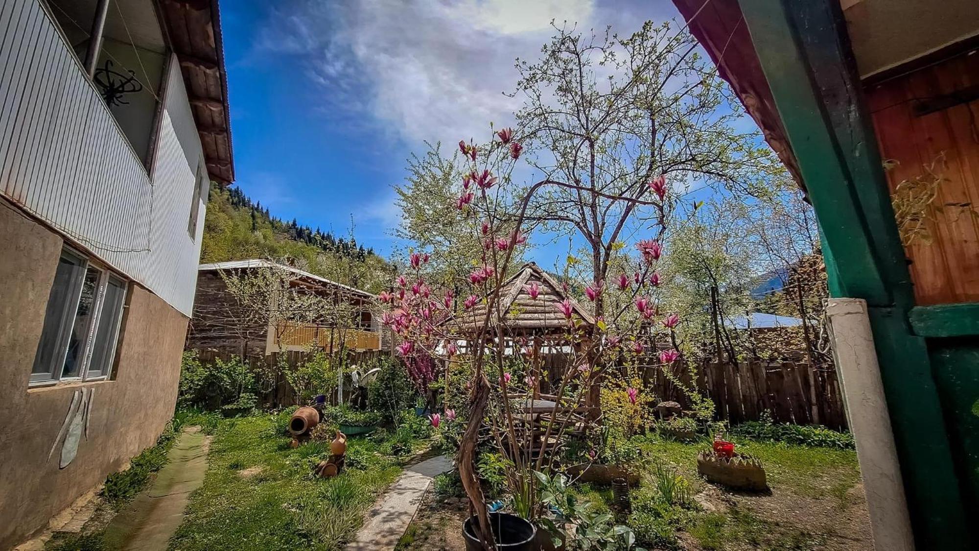Lentekhi Guest House "Svaneti" מראה חיצוני תמונה