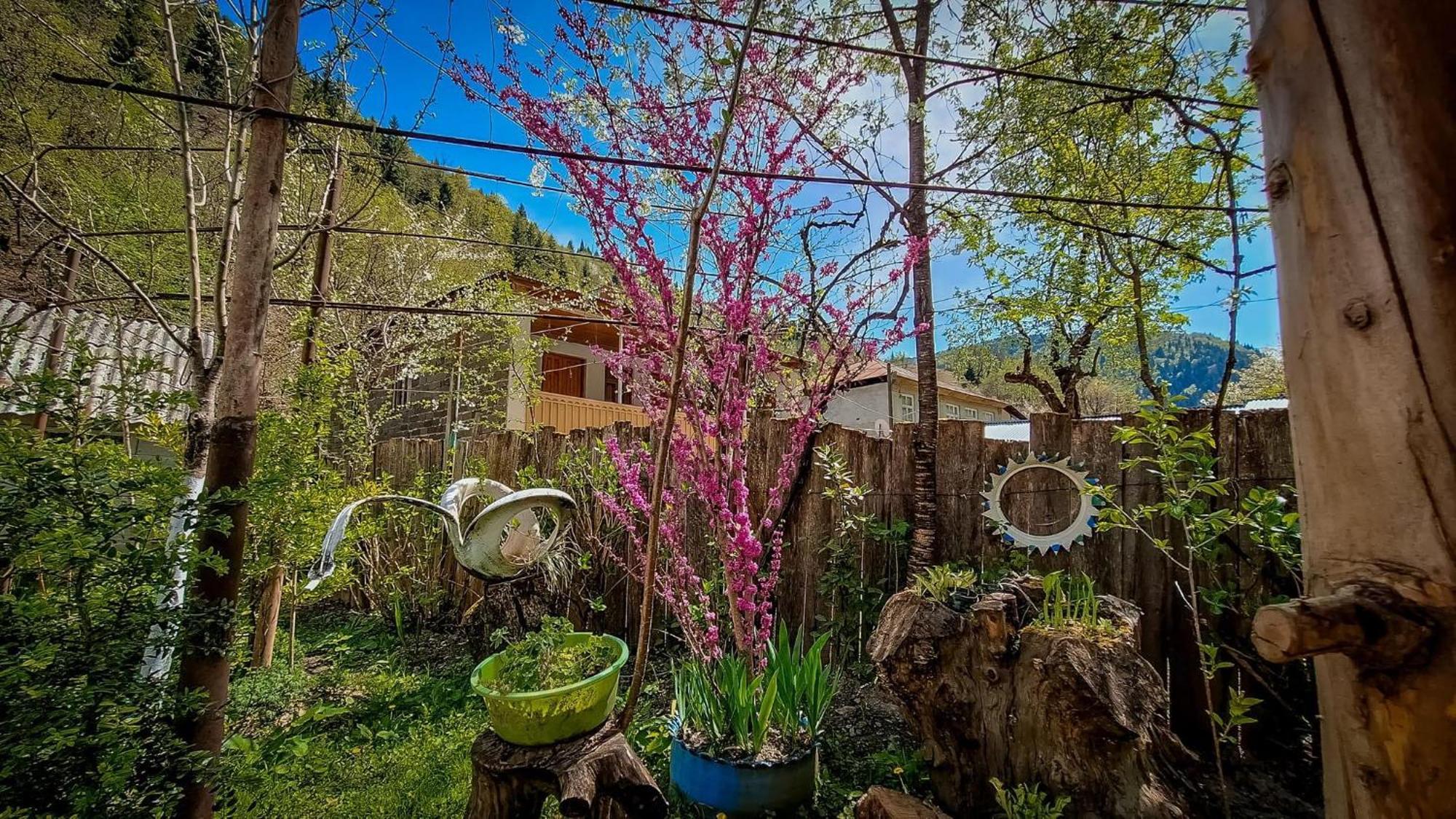 Lentekhi Guest House "Svaneti" מראה חיצוני תמונה